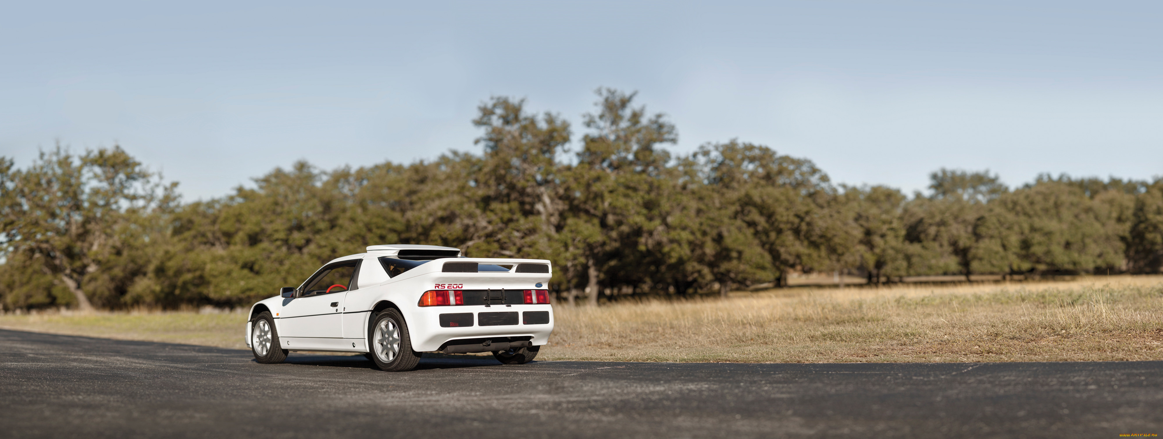 , ford, rs200